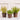 Mini Herb Pots with silk greens set of 3