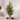 26-Inch Pine Tree with Burlap Base