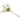 18-Inch Cream Floral Stem