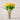 Real Feel Yellow Tulips, bunch of 5