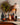 rustic-black-for-fall.jpg