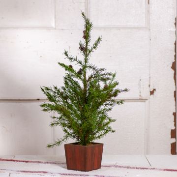 Potted Cedar Tree with Pinecones