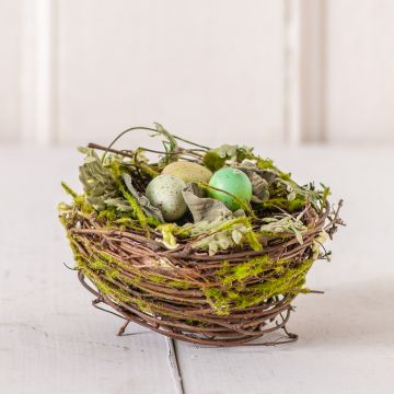 Small Twig Nest with Three Eggs