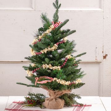 Popcorn and Cranberry Garland