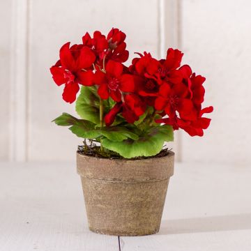 7-Inch Potted Red Geranium